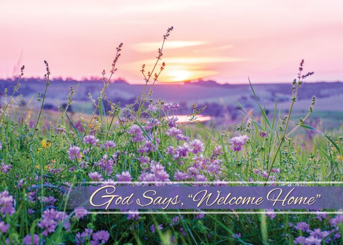 Until We Meet Again Boxed Cards (Pack of 12)
