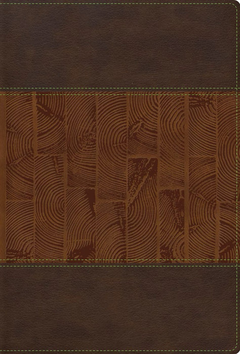 RVR 1960 Letra Grande Tamaño Manual, Edición Especial