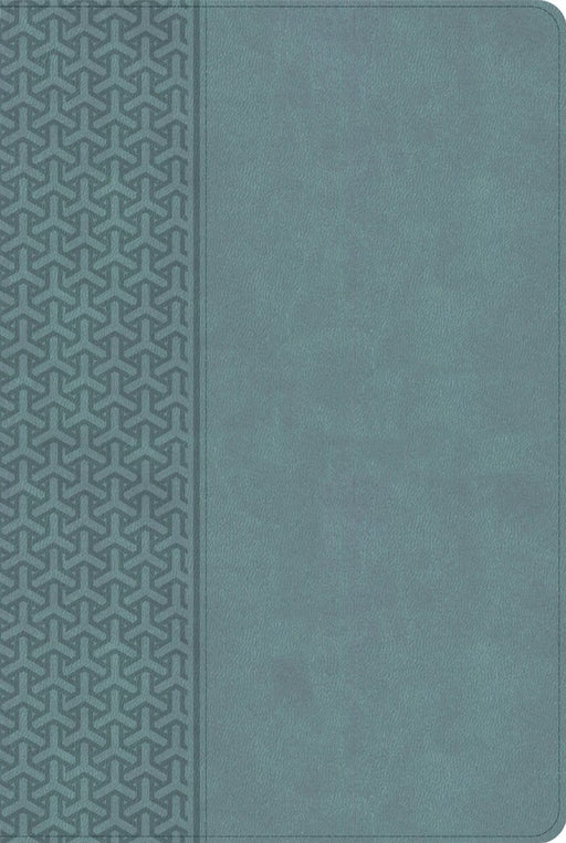 CSB Everyday Study Bible, Earthen Teal Leathertouch