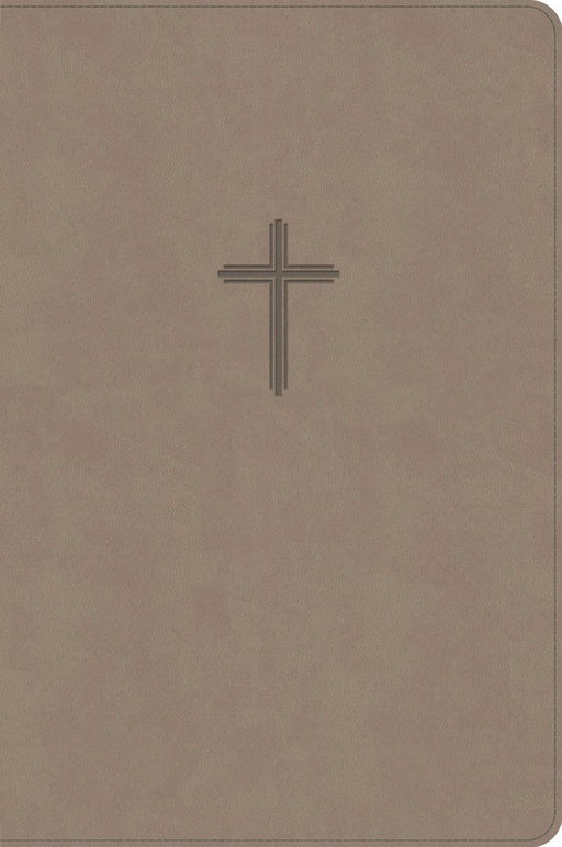 CSB Everyday Study Bible, Earth Suedesoft Leathertouch