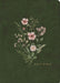 CSB Large Print Compact Reference Bible, Olive Floral