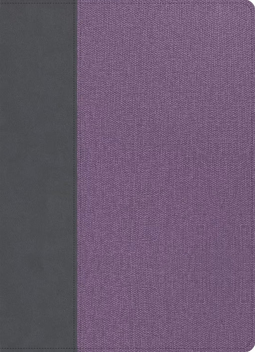 CSB Study Bible, Large Print, Gray/Lavender, Indexed