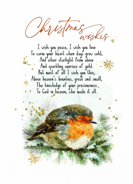 Robin Christmas Wishes Bible Card