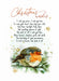 Robin Christmas Wishes Bible Card