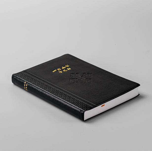 Amharic Common Language Bible