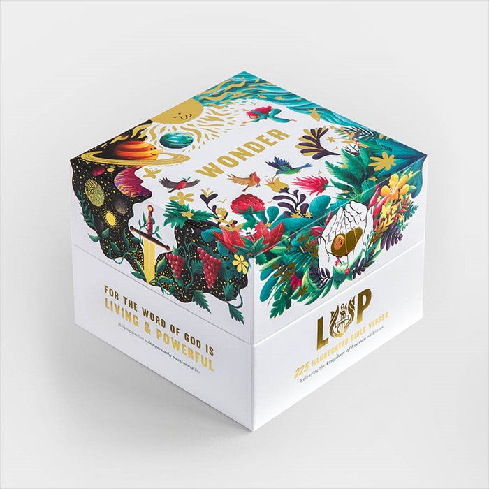Wonder Box ESV — Aslan Christian Books