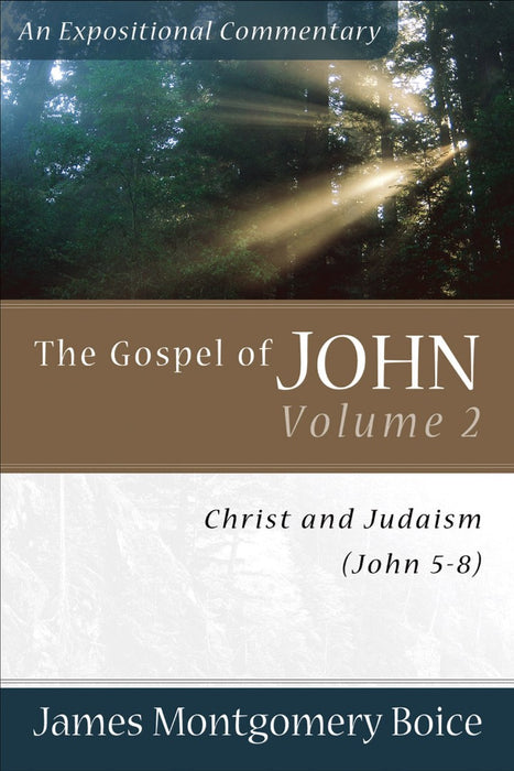 Gospel Of John, The, Volume 2