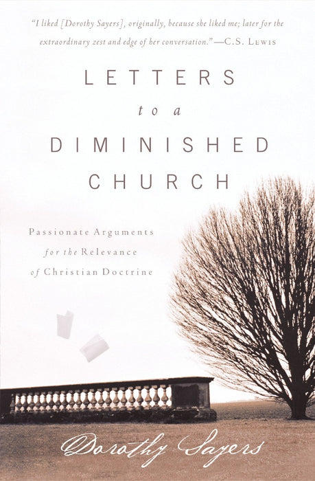 Letters To A Diminished Church