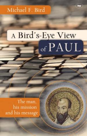A Bird's Eye View of Paul