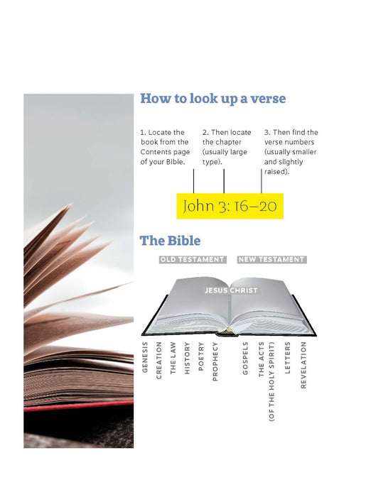 Every Day With Jesus For New Christians