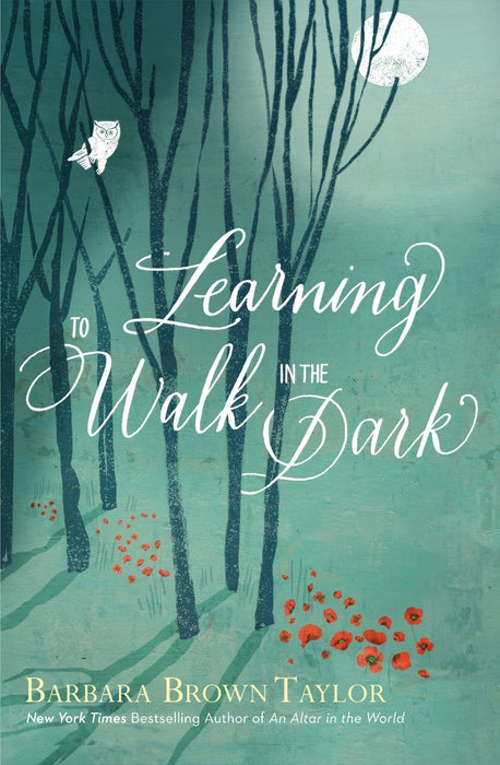 Learning To Walk In The Dark