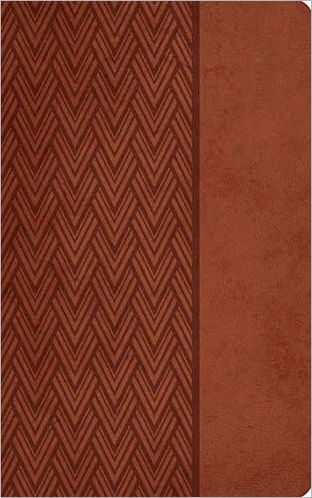 KJV GP C/Col Ref LS/Br