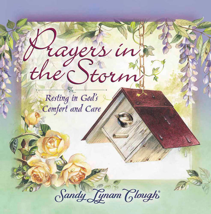 Prayers in the Storm H/b
