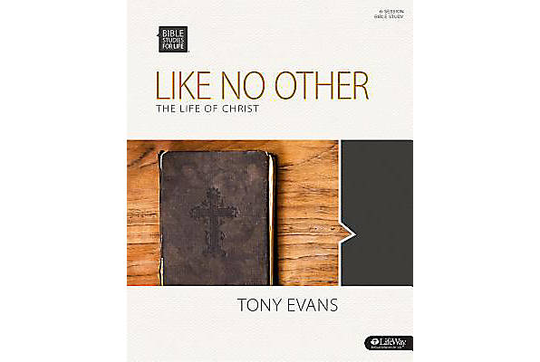 Like No Other Adult Study Guide