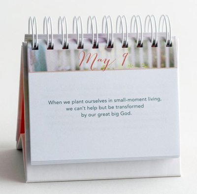 DayBrightener: Just Open The Door