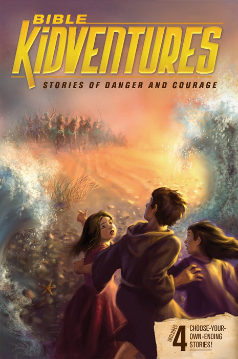 Bible Kidventures Stories Of Danger And Courage