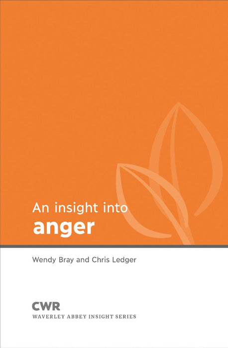 Insight into Anger