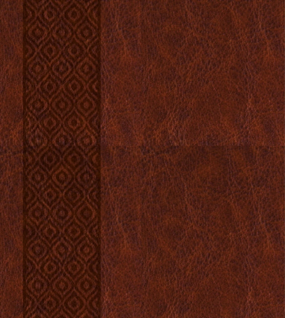 KJV Expressions Bible, Brown