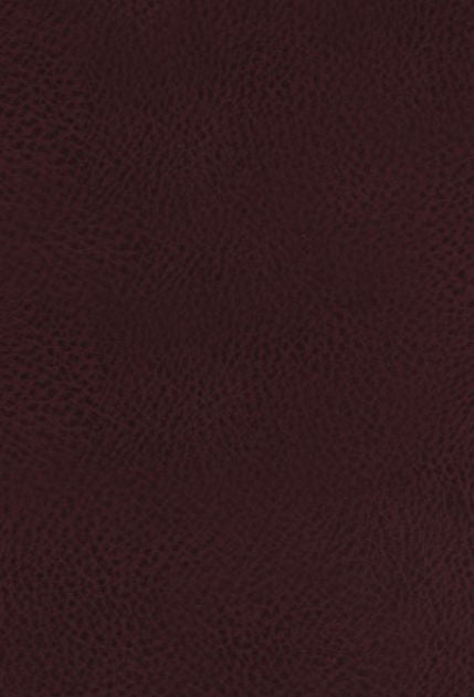 KJV Study Bible, The, Indexed, Full-Color Ed.