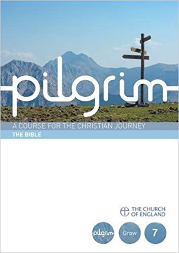 Pilgrim Book 7: The Bible (Pack of 25) — Aslan Christian Books