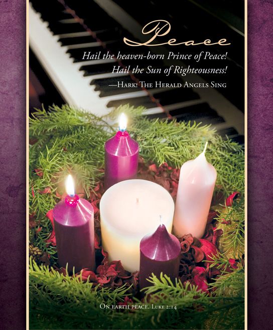 Advent Peace Bulletin Large (Pack of 100)