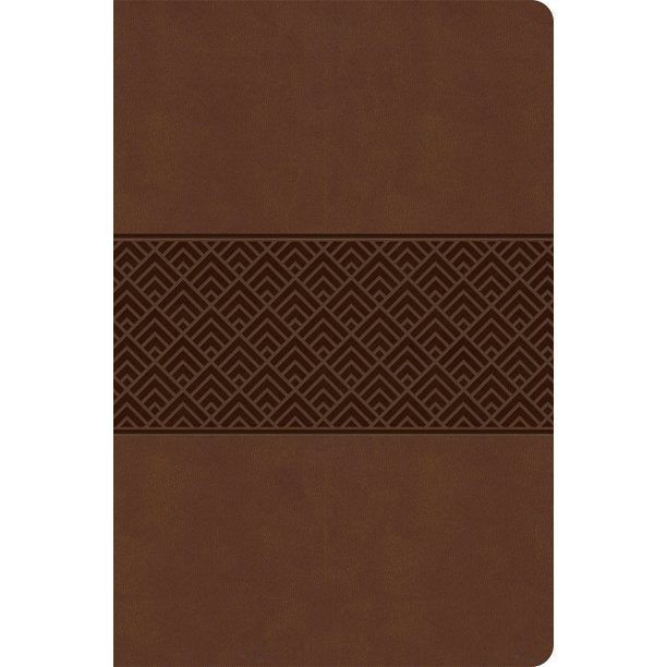 CSB Everyday Study Bible, Brown Burnished, Global