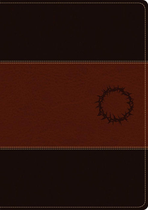 Biblia de estudio del diario vivir NTV, letra grande