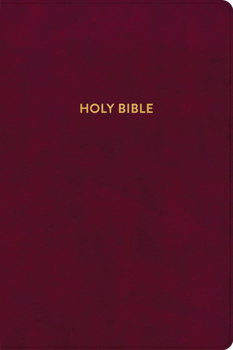 KJV Rainbow Study Bible, Burgundy LeatherTouch