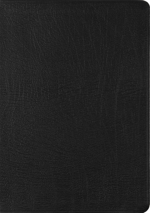 ESV New Testament with Psalms and Proverbs