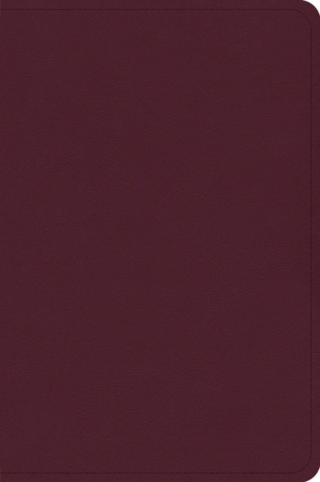 CSB Large Print Compact Reference Bible, Cranberry