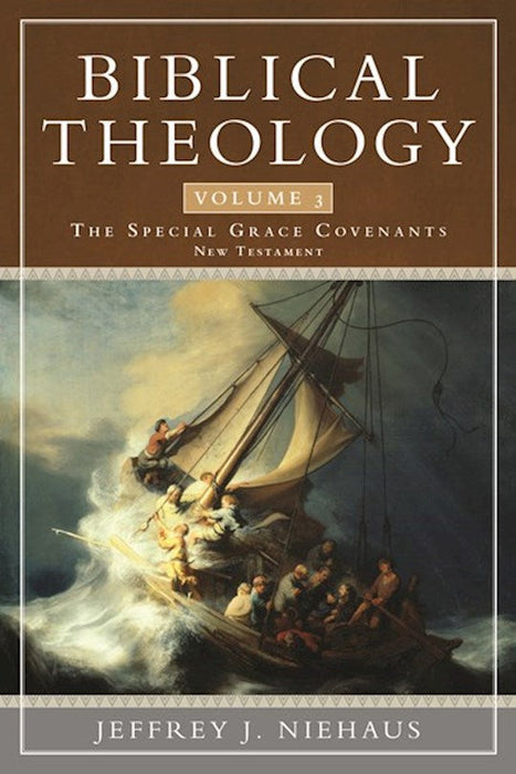 Biblical Theology Volume 3