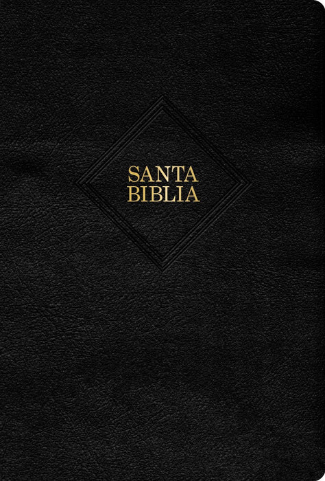RVR 1960 Biblia Letra Grande TamañO Manual, Negro