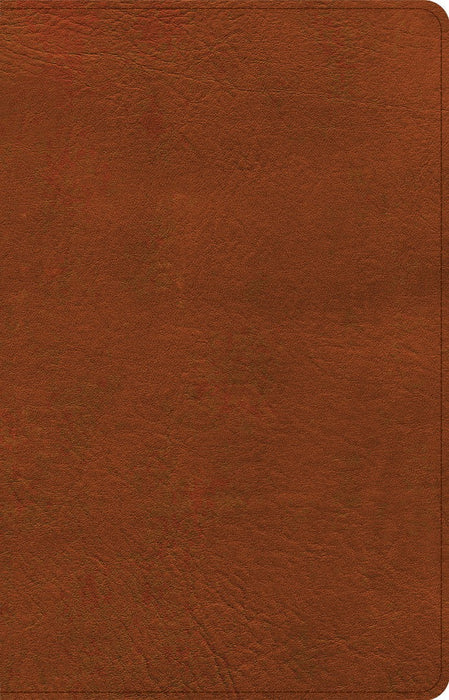 NASB Large Print Thinline Bible, Burnt Sienna Leathertouch