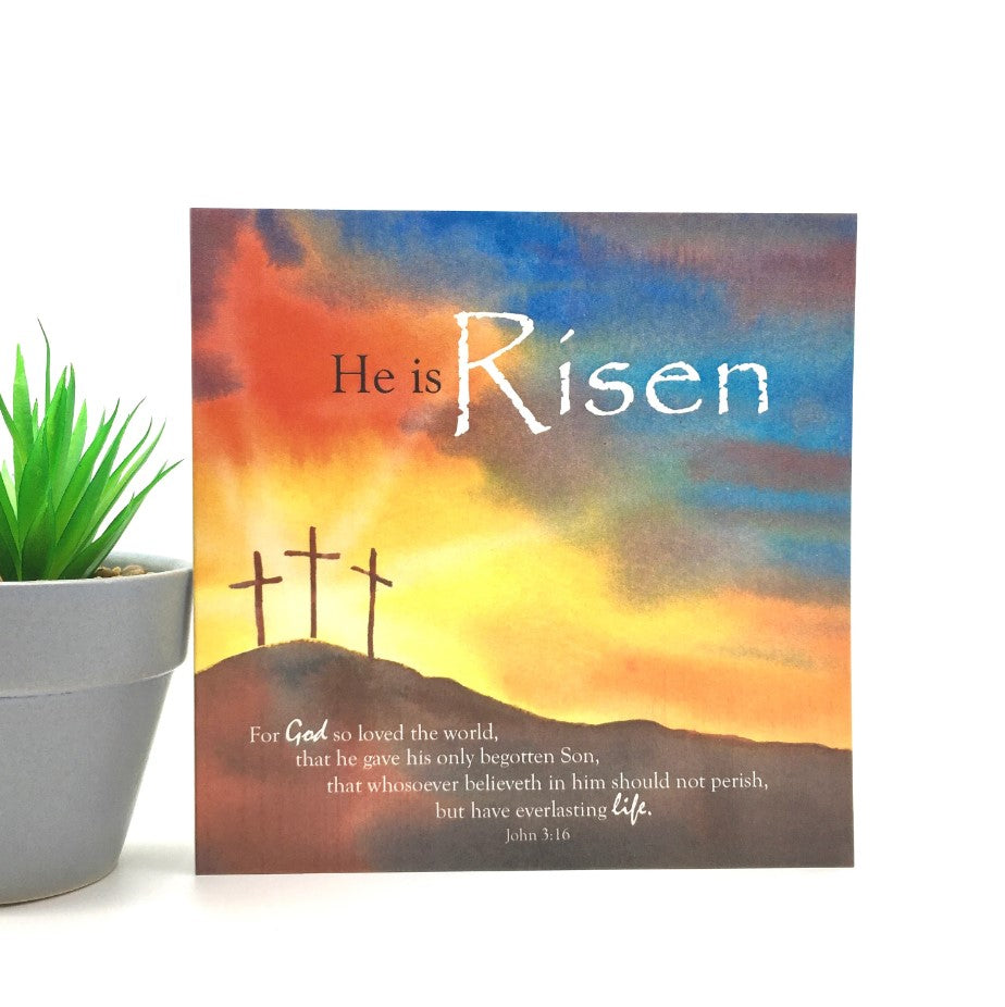 Risen Easter Cards (Pack of 5) — Aslan Christian Books