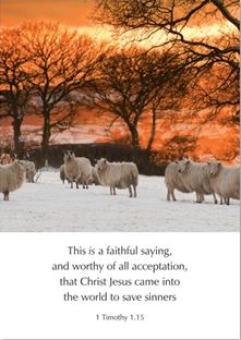 Christ Jesus Came...to Save Sinners - 1 Timothy 1:15 Cards