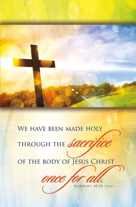 We Have Been Made Holy Bulletin (pack of 100)