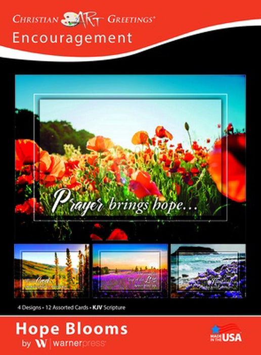 Hope Blooms Encouragement Boxed Cards (box of 12)