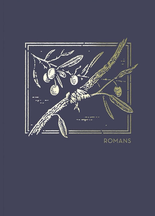 NET Abide Bible Journal: Romans