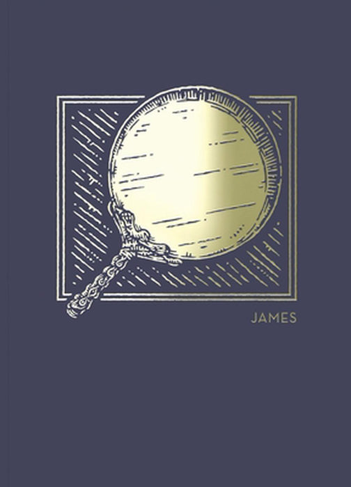 NET Abide Bible Journal: James