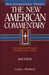 Matthew: The New American Commentary Hardback - Craig Blomberg - Re-vived.com