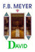 David Paperback - F B Meyer - Re-vived.com