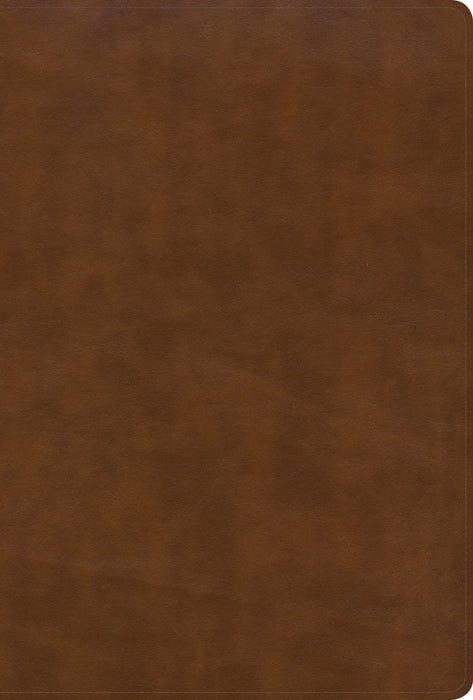 KJV Large Print Ultrathin Reference Bible, British Tan