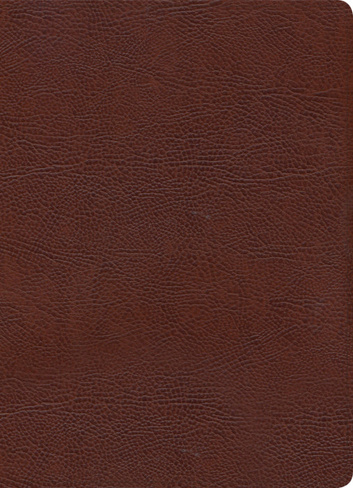 KJV Study Bible, Full-Color, Brown Bonded Leather, Indexed
