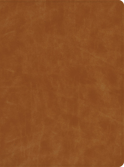 CSB Lifeway Women's Bible, Butterscotch Genuine Leather, Ind