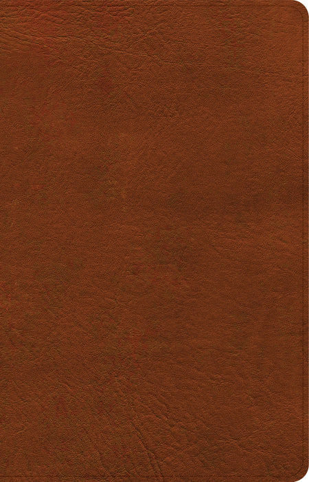 NASB Large Print Personal Size Reference Bible, Burnt Sienna