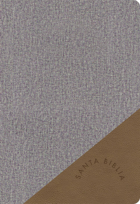 RVR 1960 Biblia Letra Grande Tamaño Manual gris y marrón