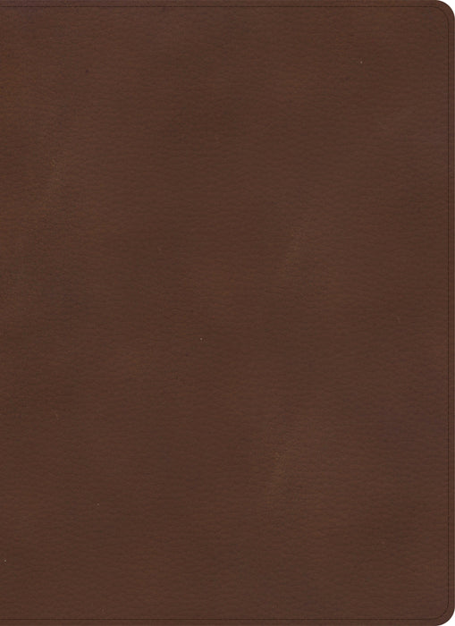 KJV Single-Column Wide-Margin Bible, Brown LeatherTouch
