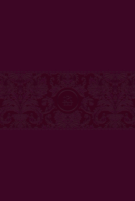 Passion Translation NT 2020 Edition, Burgundy, Large Print