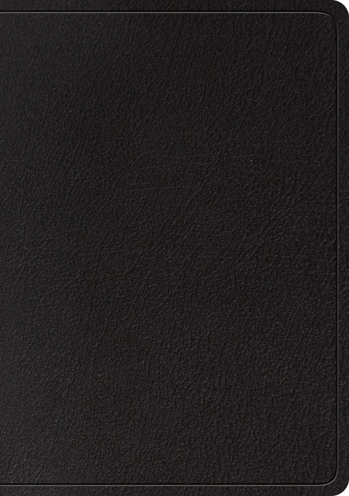 ESV Large Print Wide Margin Bible (Black)