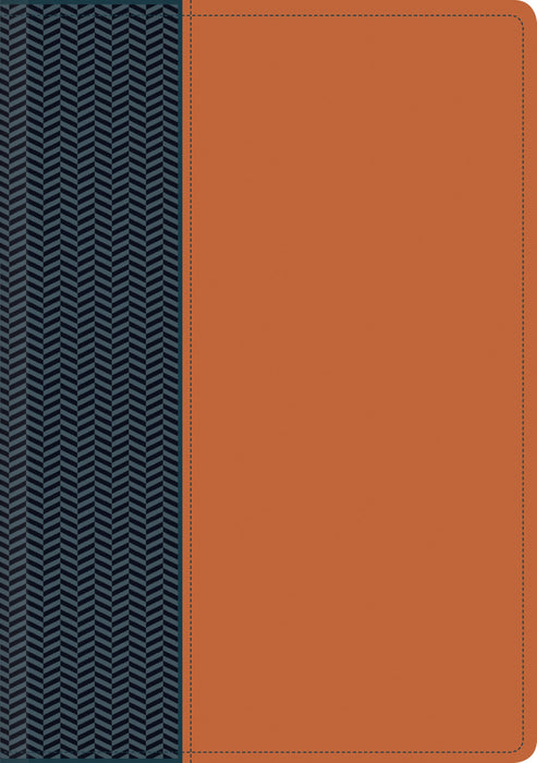 NTV Biblia de estudio del diario vivir